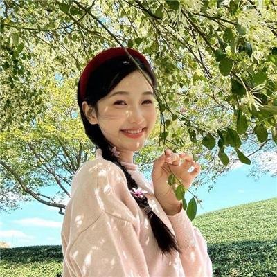 洋葱乱报